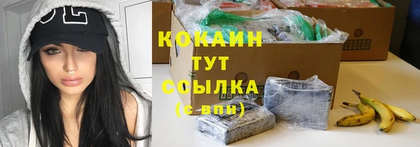 соль ск Алзамай