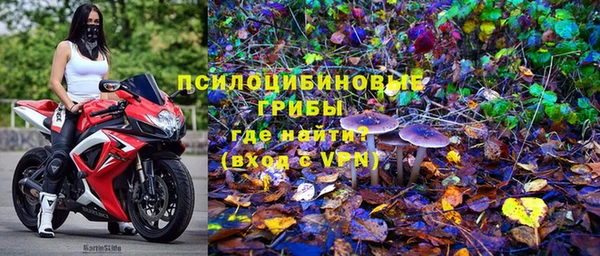соль ск Алзамай