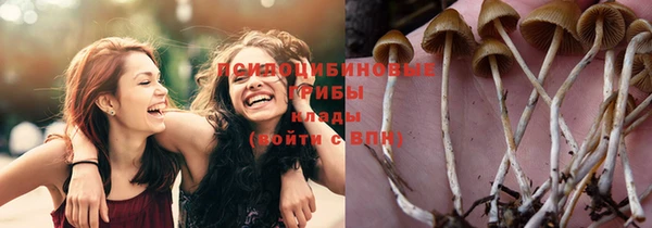 соль ск Алзамай