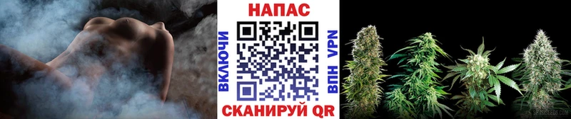 Конопля планчик  Анадырь 
